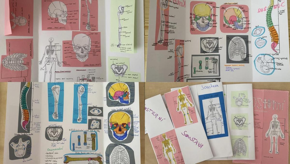 Lapbook o kosterní soustavě aneb kreativní učení